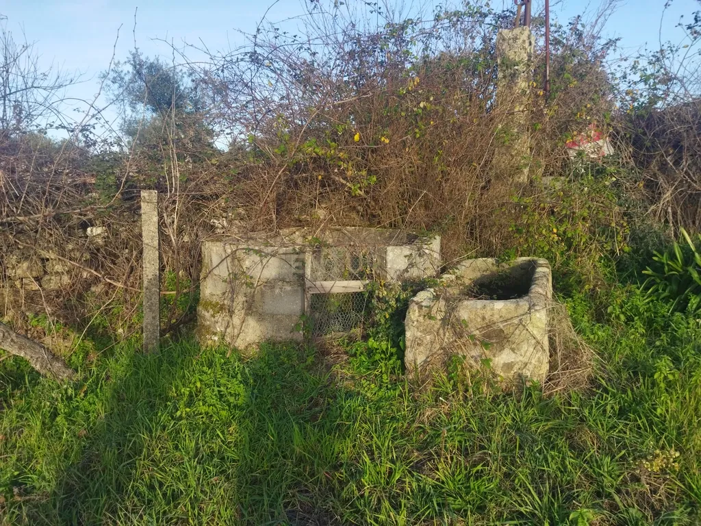 Terreno Rustico, Lousa, Castelo Branco - Image 1