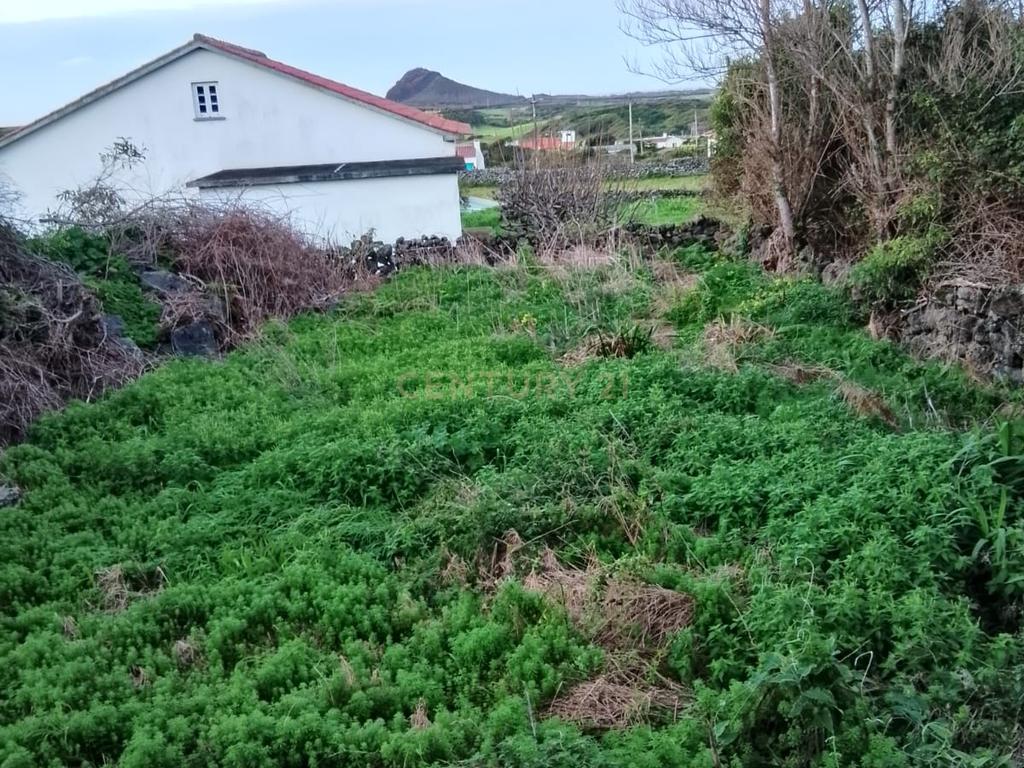 Ruina para reabilitar na ilha Graciosa - Image 4