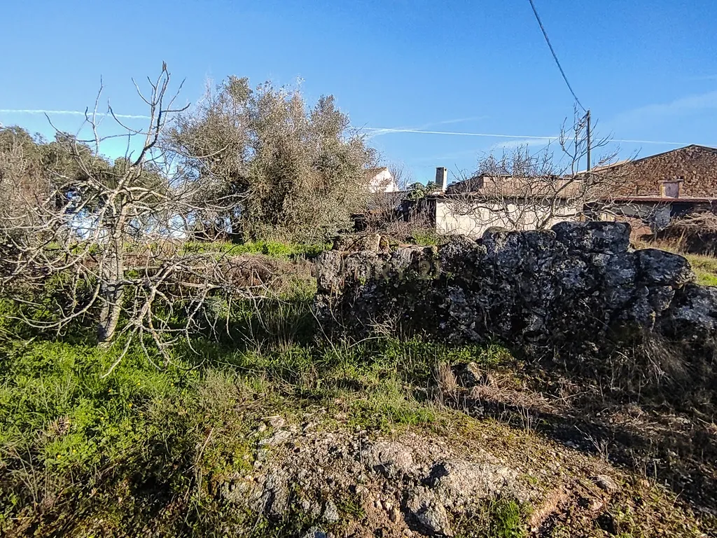 🏡 Moradia T3 com Terreno e vistas para Serra da Estrela🌿 - Image 12