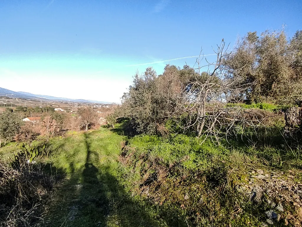 🏡 Moradia T3 com Terreno e vistas para Serra da Estrela🌿 - Image 17