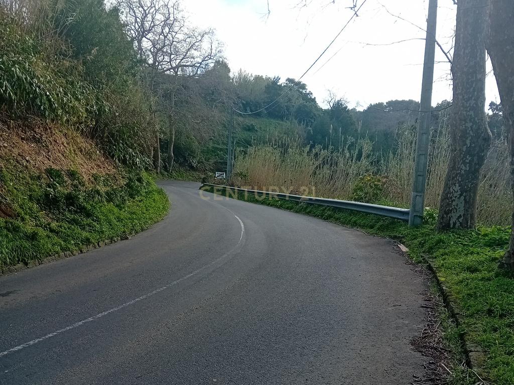 Terreno Rústico de 2860m² nos Fenais da Ajuda – Oportunidade de Investimento na Natureza - Image 9