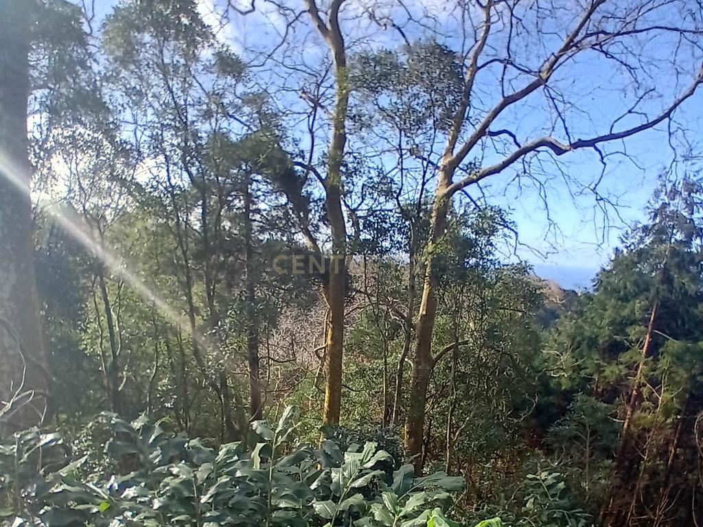 Terreno Rústico de 2860m² nos Fenais da Ajuda – Oportunidade de Investimento na Natureza - Image 2