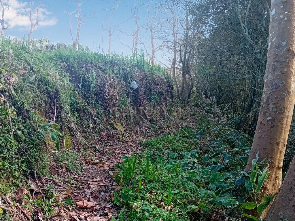 Terreno Rústico de 2860m² nos Fenais da Ajuda – Oportunidade de Investimento na Natureza - Image 3