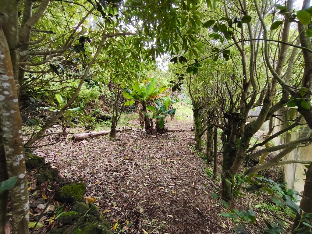 Quinta com Duas Moradias – Um Refúgio Exclusivo em Ribeira Grande - Image 25