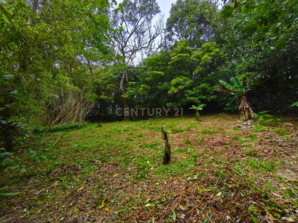 Quinta com Duas Moradias – Um Refúgio Exclusivo em Ribeira Grande - Image 26