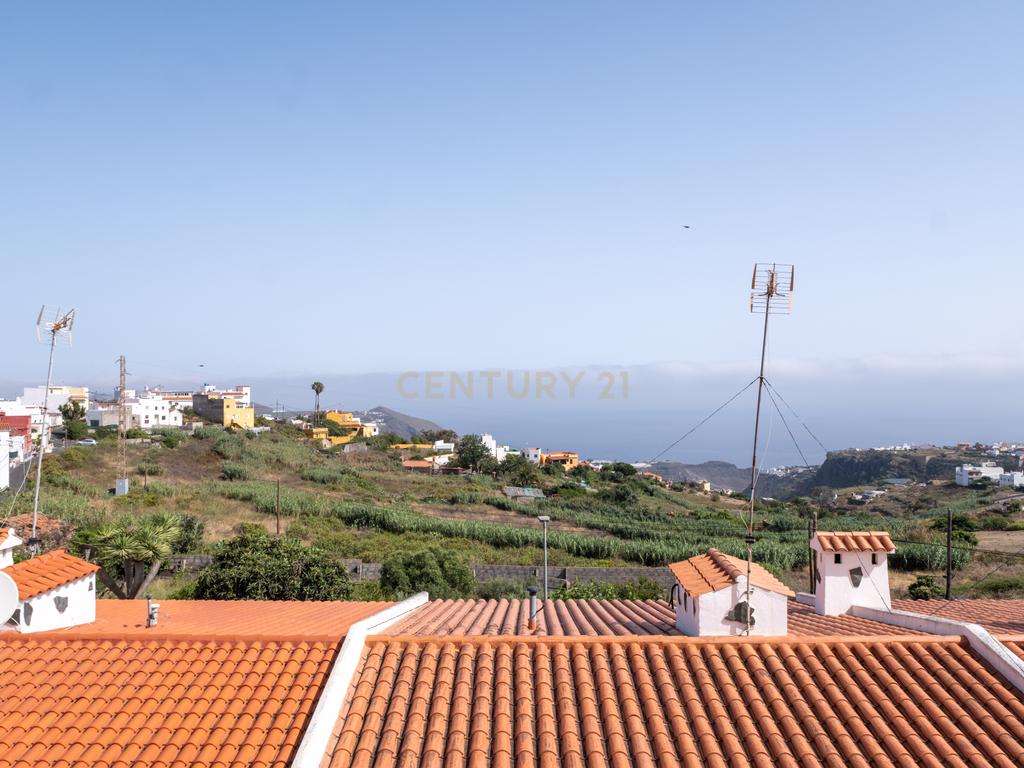 - Image 11