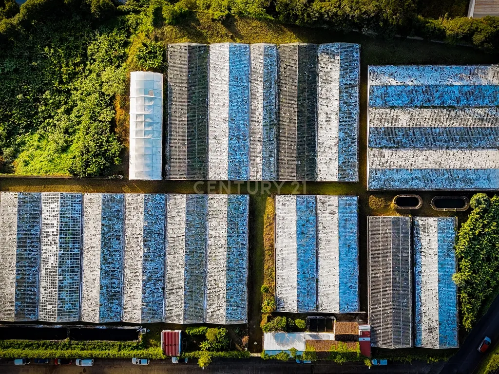 Propriedade Única com Estufas de Ananases e Potencial Urbano — Abelheira de Baixo, São Roque - Açores - Image 20