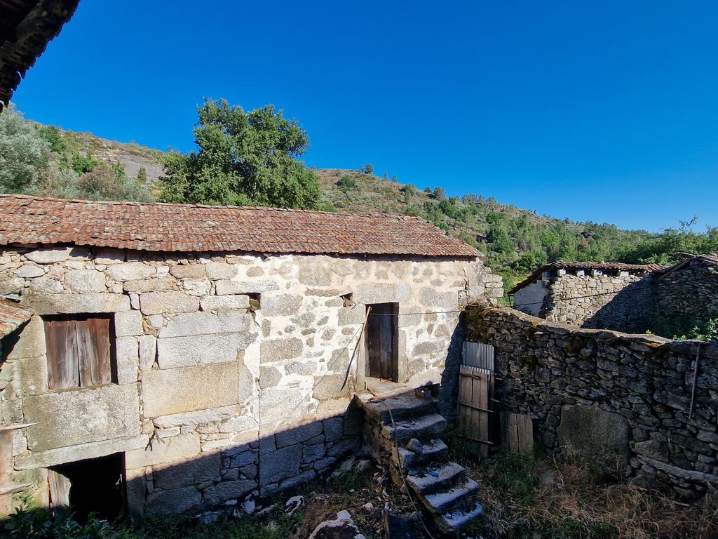 Quinta com Casa para Recuperação em Ferreira de Aves, Viseu - Image 4