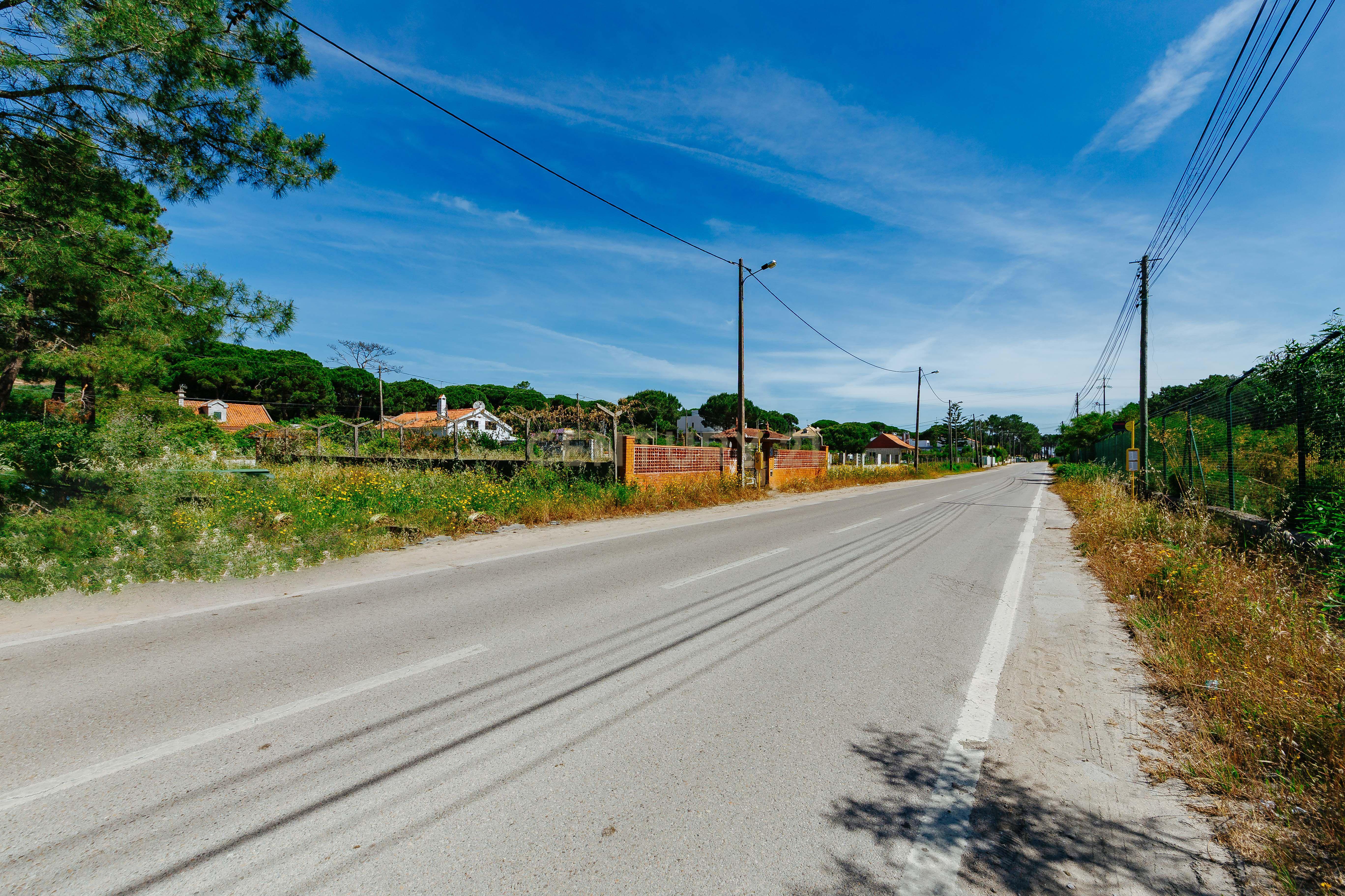 Fotografia 8 de Terreno Urbano na Charneca de Caparica | Pinhal da Aroeira
