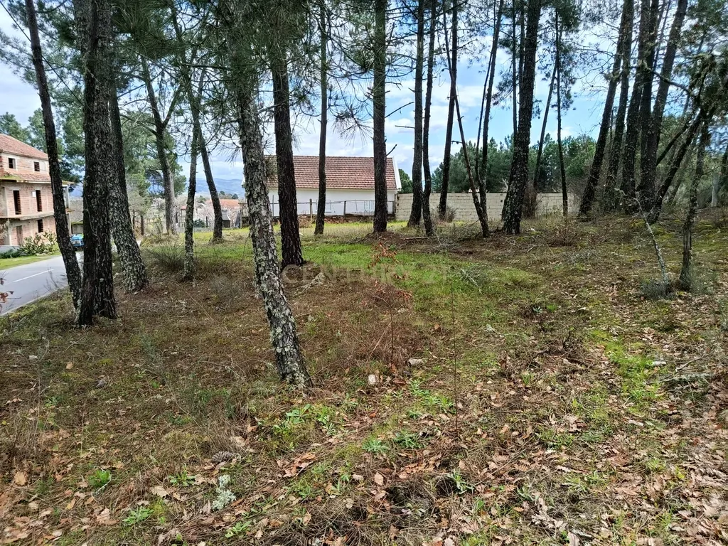 Terreno para Construção em Vale de Gouvinhas - Mirandela - Image 14
