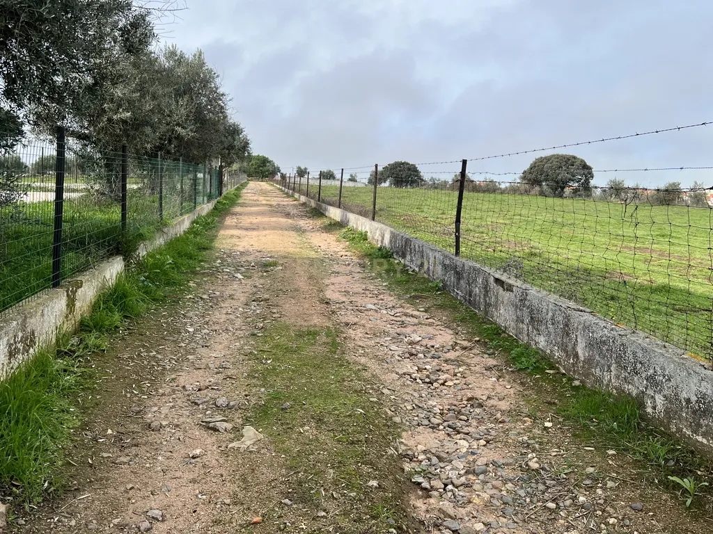 Magnífica Quinta em Monforte com Vista Panorâmica e Piscina - Image 3