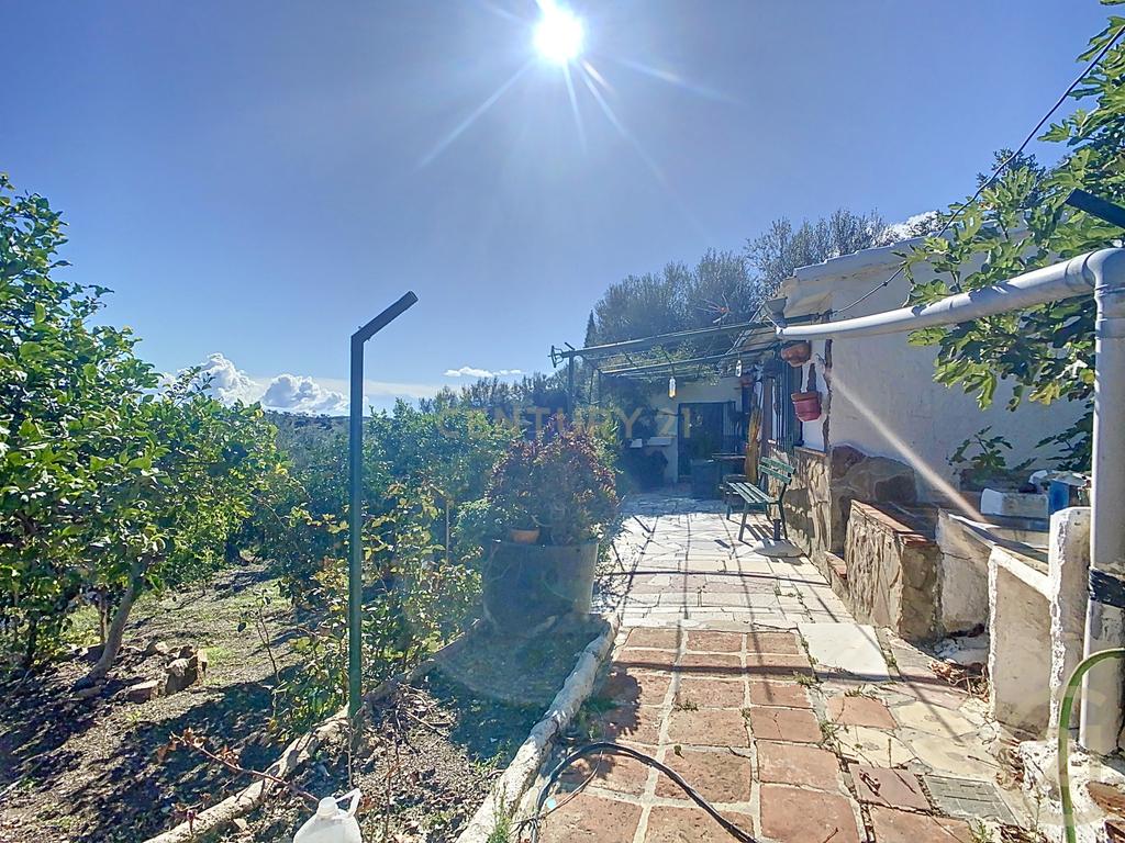 undefined - Image 25