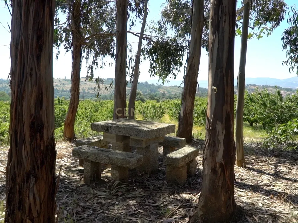 Luxuosa Herdade/Quinta do Pinheiro Redondo, Covilhã - Image 15