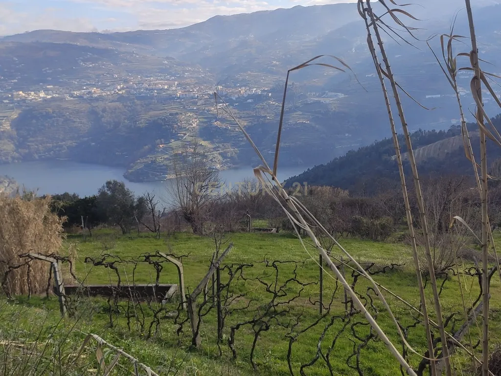 Terreno com casinha e vista para o rio Douro, em S. Tomé de Covelas, Baião para projeto agrícola - Image 74