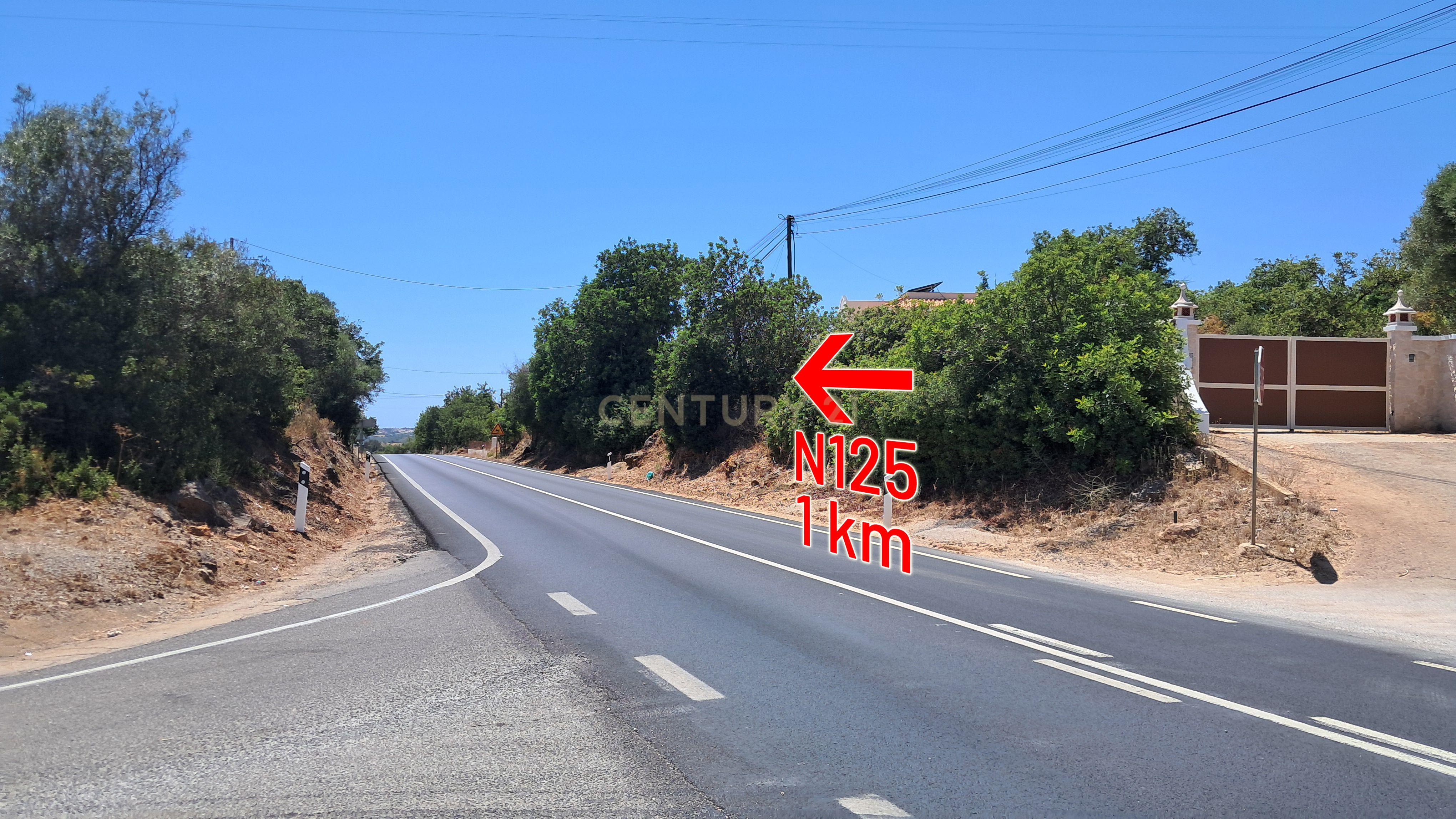 Fotografia 3 de Terreno com 9.135 m² em Boliqueime