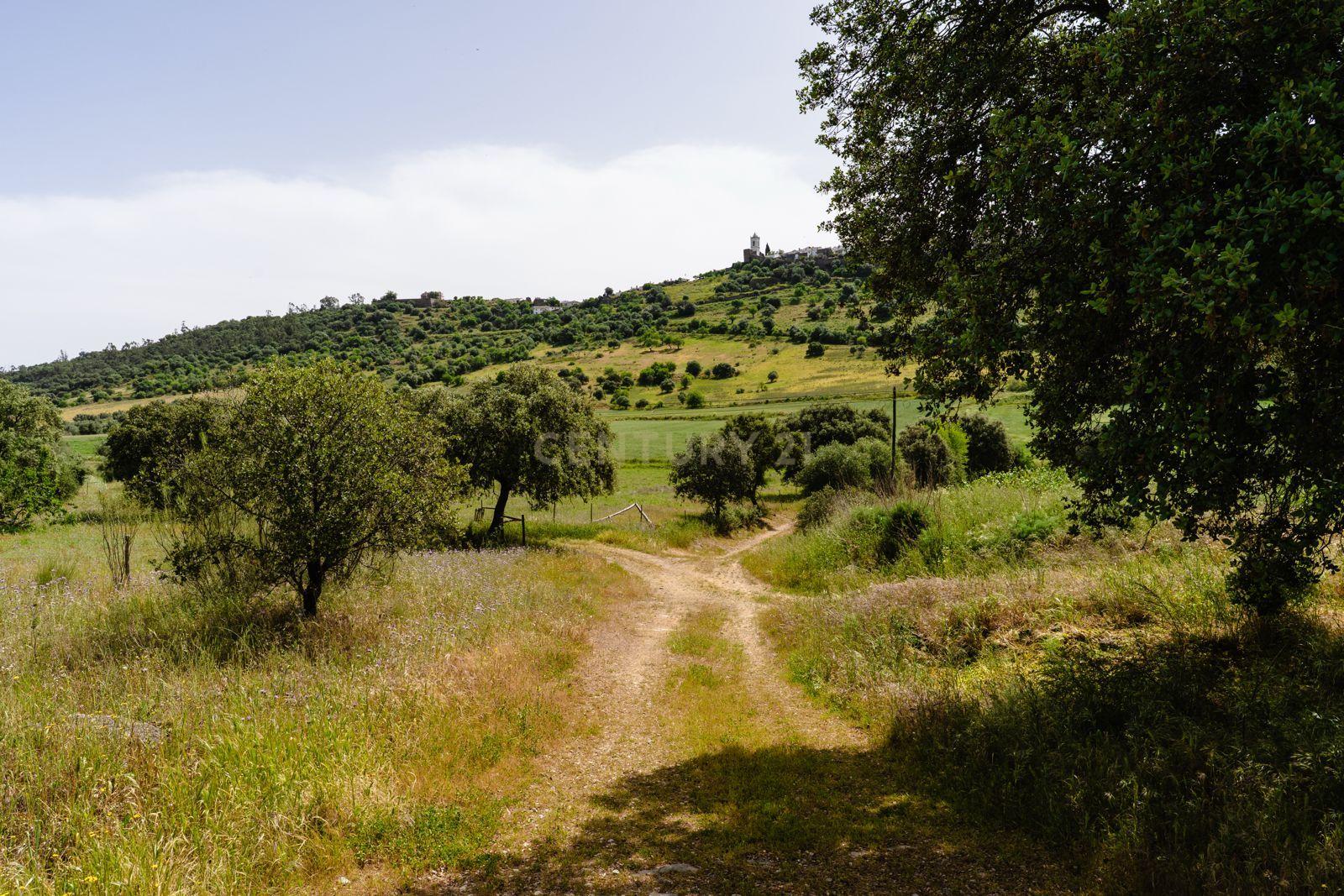 Fotografia 11 de Terreno em Monsaraz junto ao Castelo