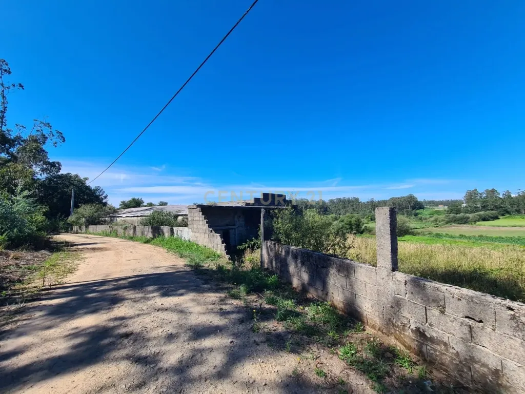 Terreno com Pavilhão Industrial em Barqueiros - Image 3