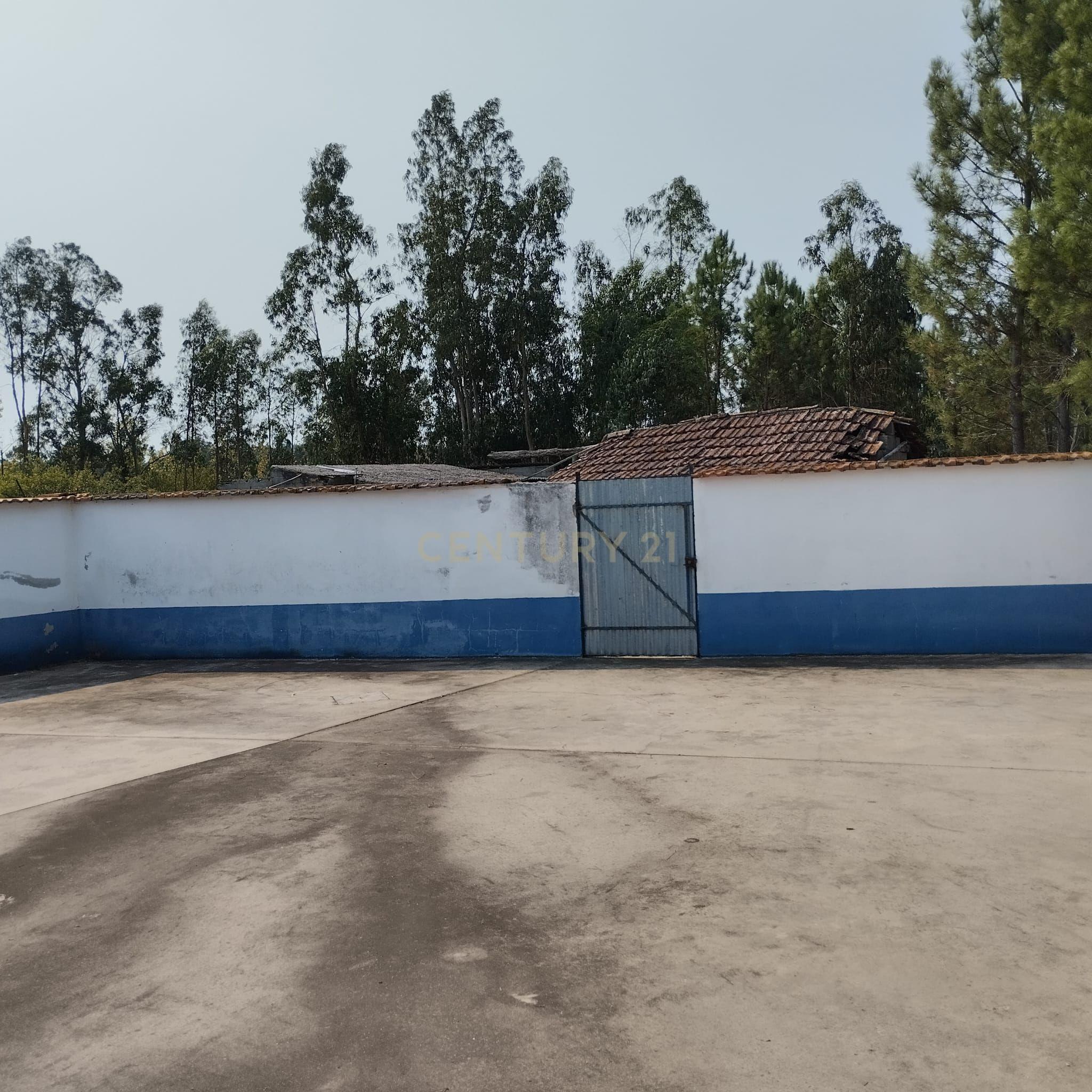 Moradia em Meires, Pelariga Pombal - Image 27