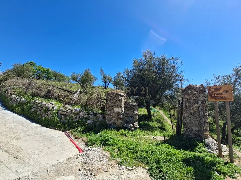 Moradia geminada de gaveto, com orientação sul, vistas para a montanha e duas propriedades rústicas com oliveiras, vinhas e castanheiros, no coração do Alto Genal. - Image 14