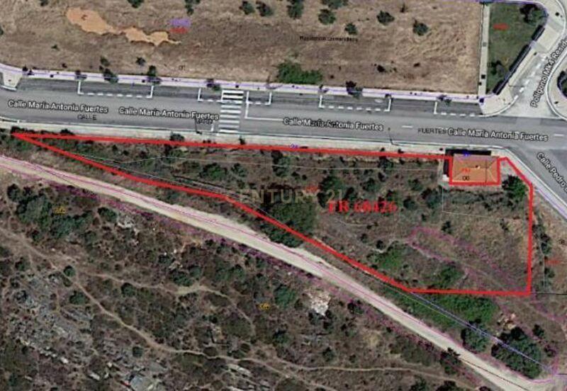 Terreno - Image 5