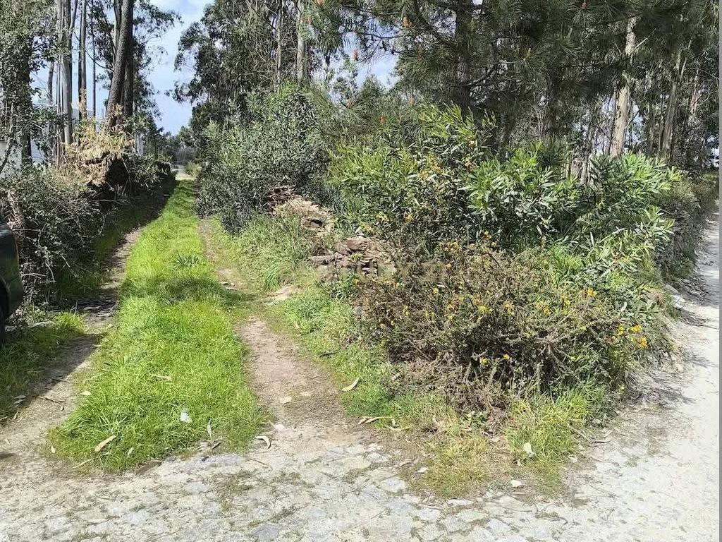 Terreno Pré-Construção em Braga, Esposende - 1750m² por 105000€ - Image 3