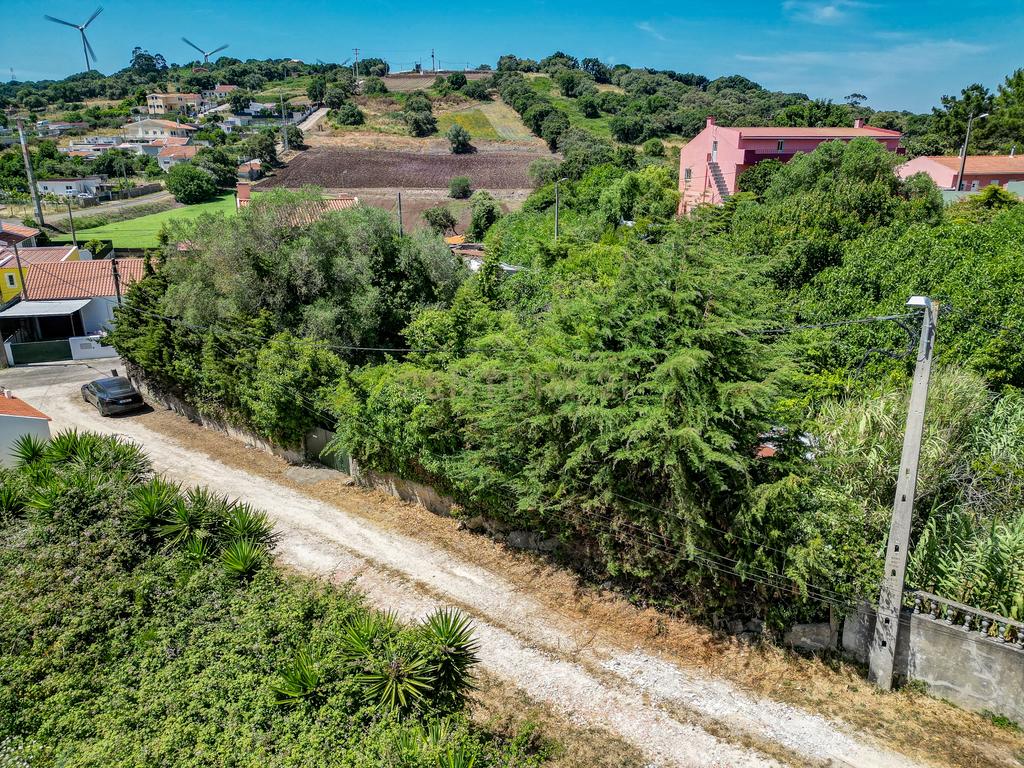 Terreno à Venda em Vale de Almornos – 1.000 m² de Natureza, Potencial e Tranquilidade! - Image 21
