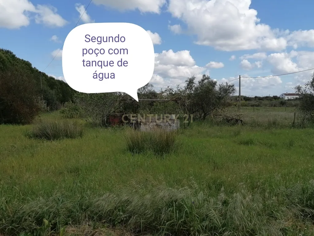 Quinta Rústica em Évora com 8.750 m2 e uma Vista Campestre - Image 35