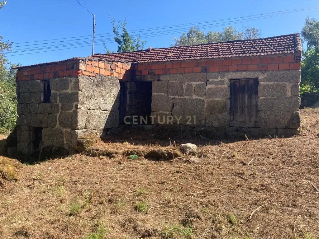 Moradia para reconstrução em Lardosa, Soalhães - Image 9