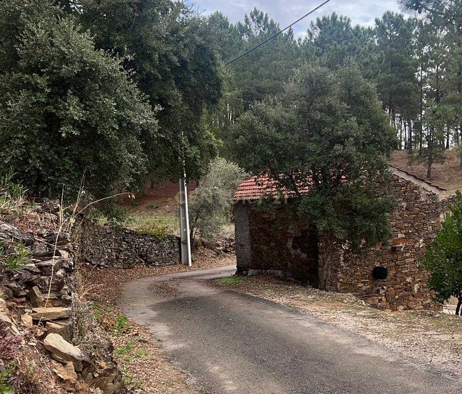 Terreno com pinheiros – Ideal para estaleiro em Proença-a-Nova - Image 8