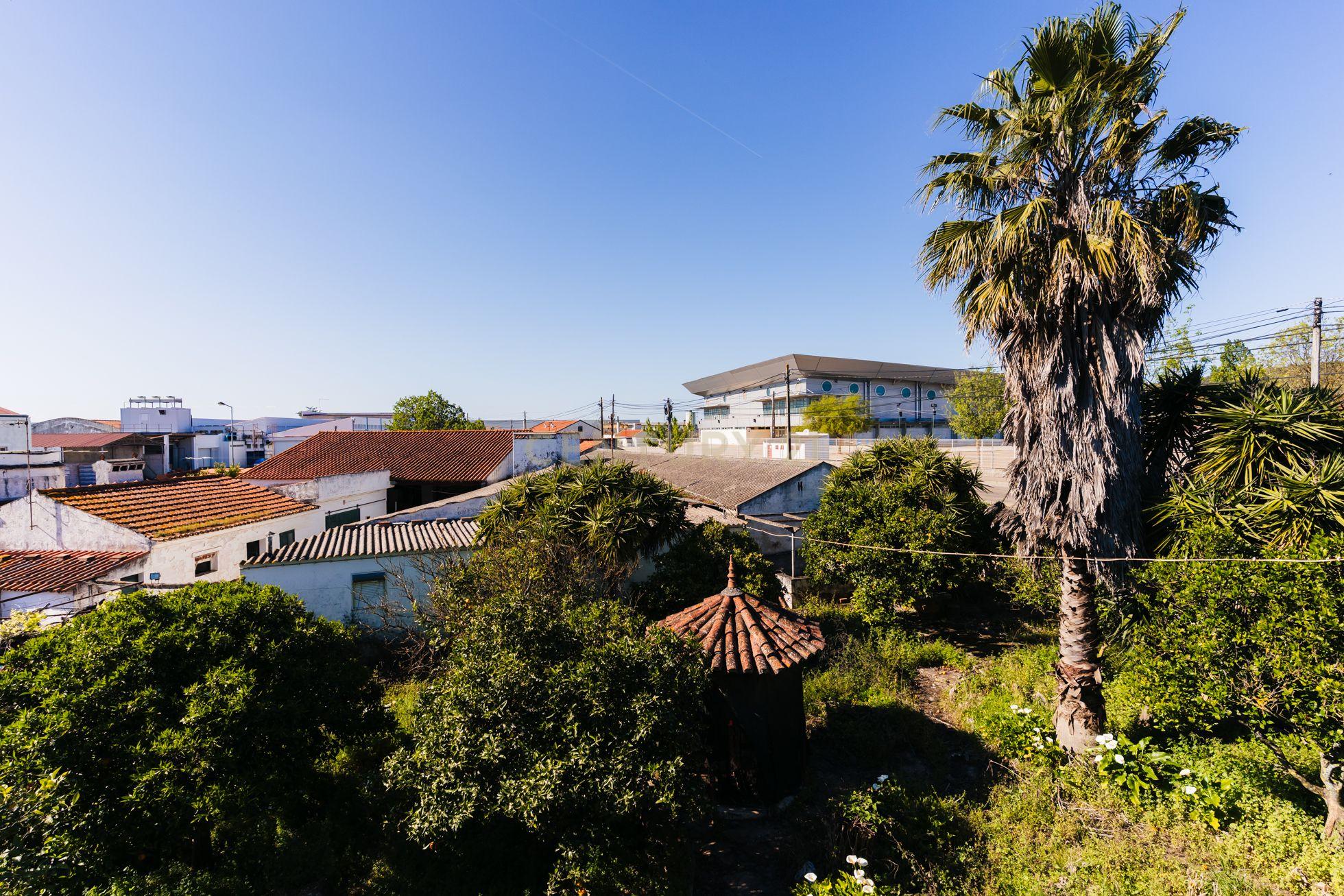 Propriedade com 11 divisões para recuperação em Estremoz com uma área total de 6185 m2 - Image 17