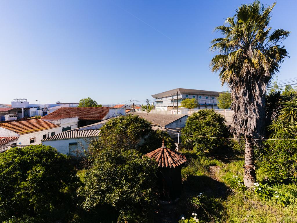 Propriedade com 11 divisões para recuperação em Estremoz com uma área total de 6185 m2 - Image 17