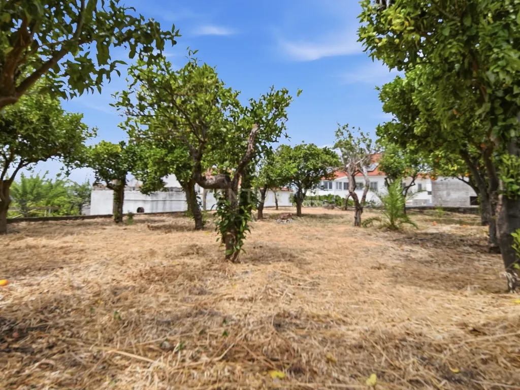 Quinta de Charme com Moradia Bifamiliar T7 e Potencial Único | Carril, Junceira – Tomar - Image 66