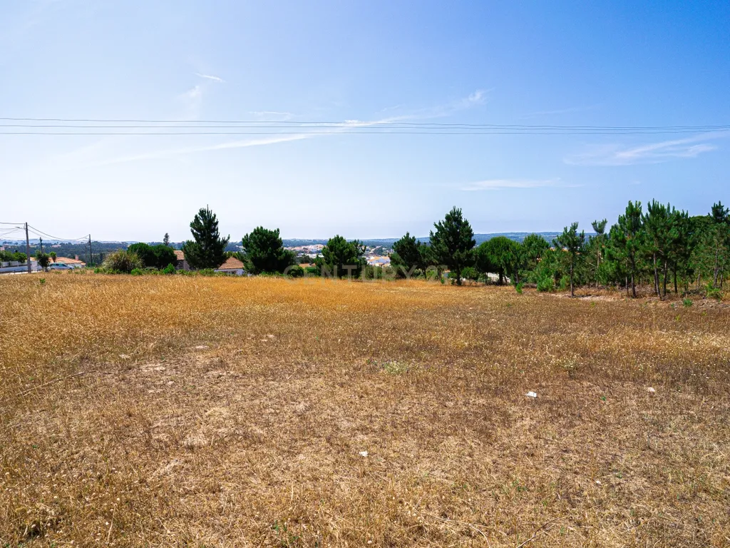 Terreno 4 910m2 | Nadadouro | Caldas da Rainha - Image 5
