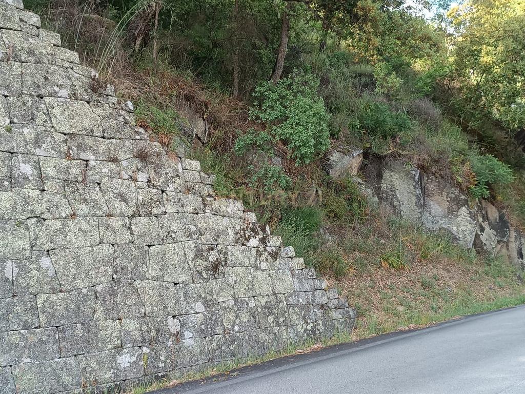 Terreno florestal com vista para a praia fluvial de Porto de Rei em Barqueiros, Mesão Frio às portas do Douro - Image 7