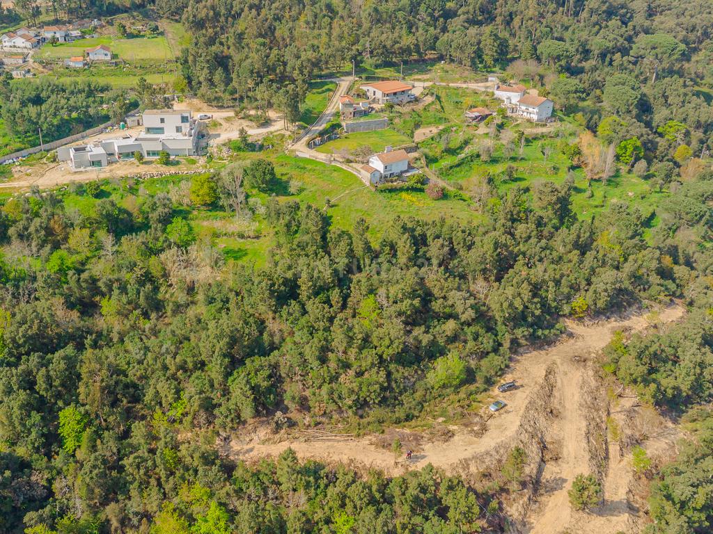 Terreno com magnifica Vista para o Rio Douro em Paços de Gaiolo - Image 5