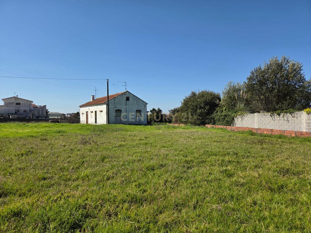 Moradia para Reconstrução em Lote de 2070m² – Possibilidade de Destaque em 2 Terrenos – Terroso, Póvoa de Varzim - Image 14