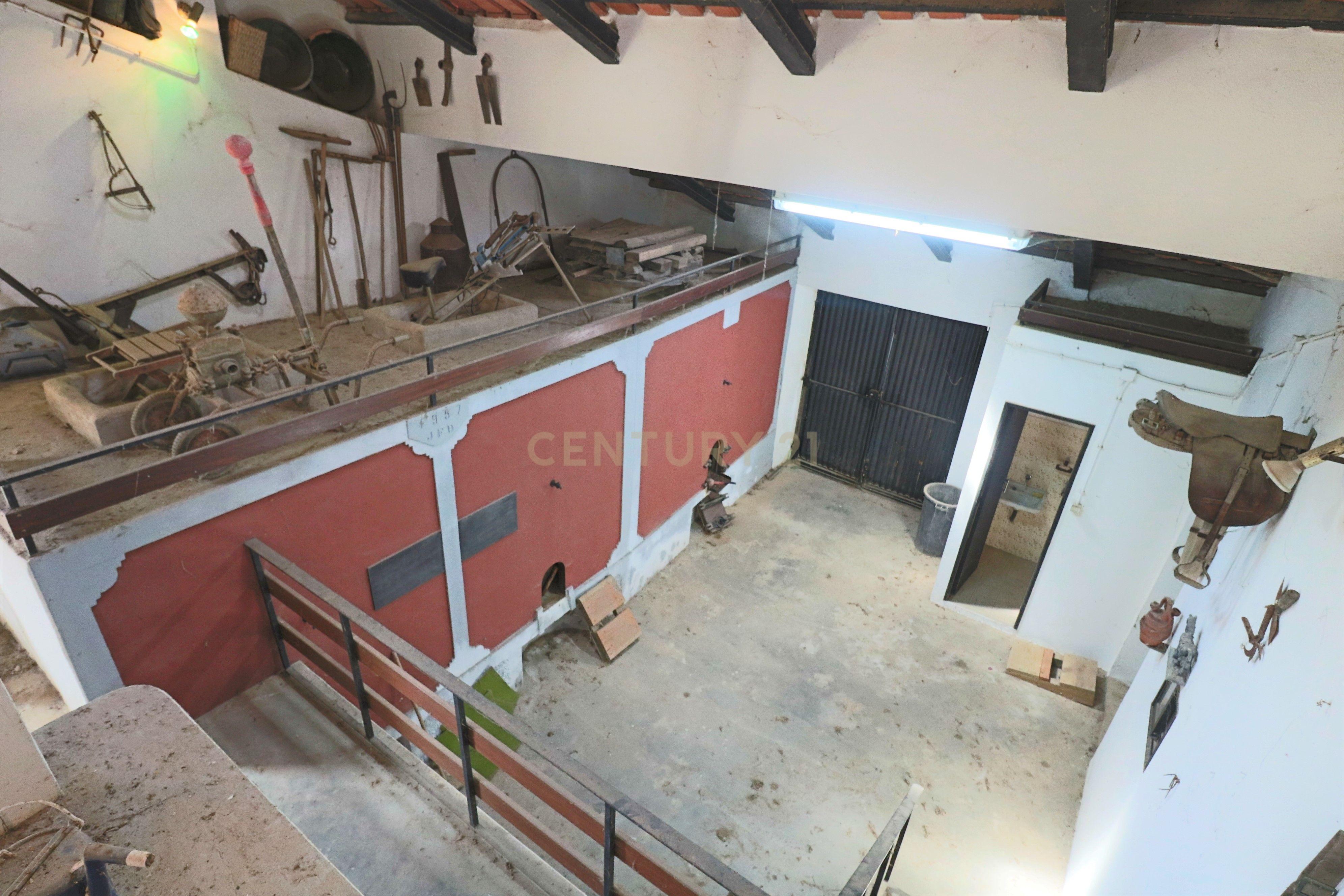 Fantástica Quintinha com 3 Casas de Habitação - Image 19