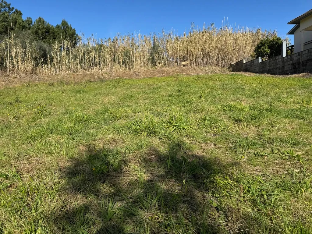 Terreno Urbano || Pombal - Image 11