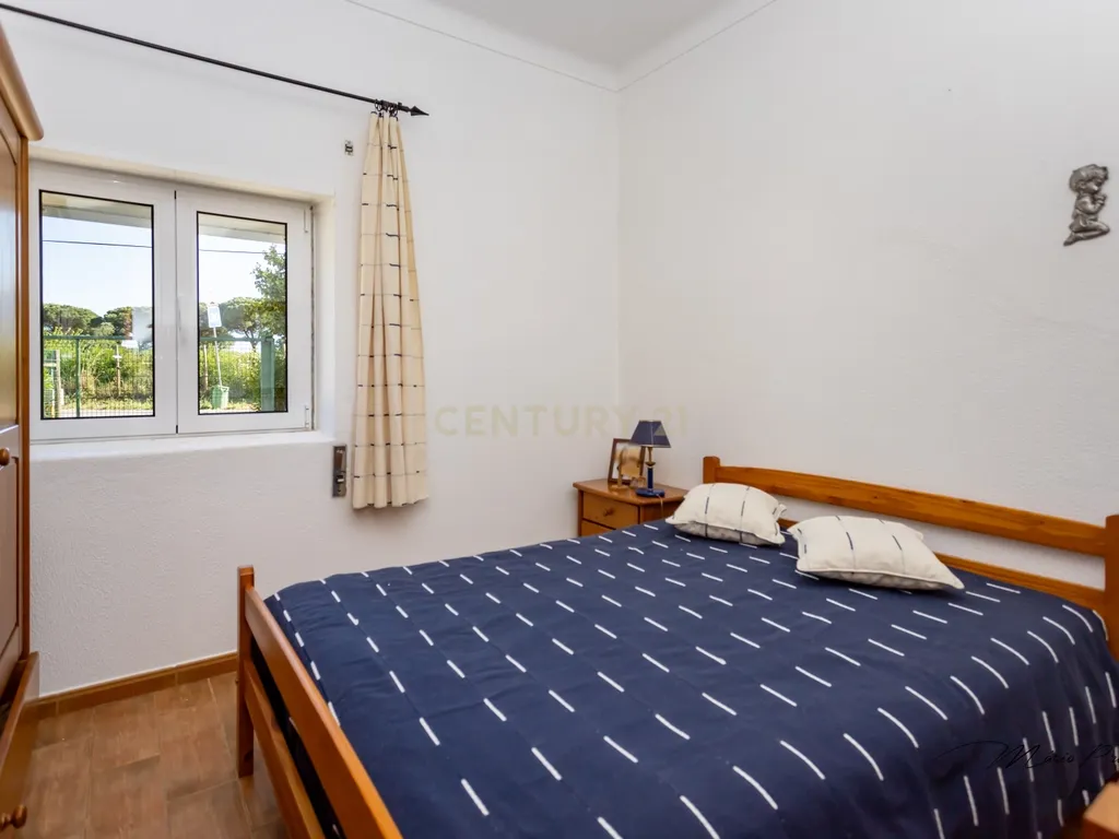 Quinta com Moradia T9 - Santo Isidro de Pegões - Montijo - Image 13