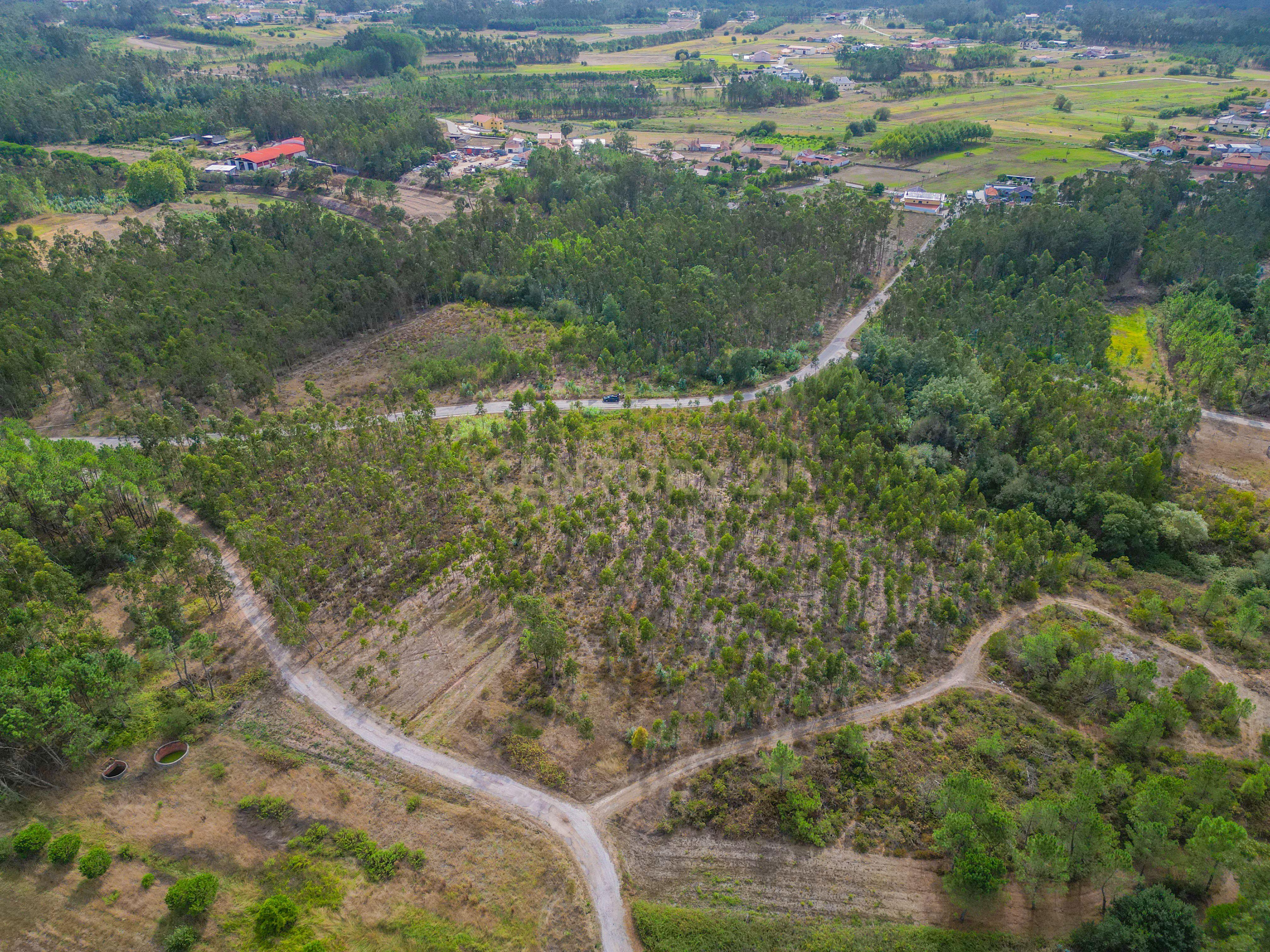 Fotografia 8 de Terreno rústico com cerca de 3.930,00 m² para venda em Lafrana de Cima – Figueira da Foz
