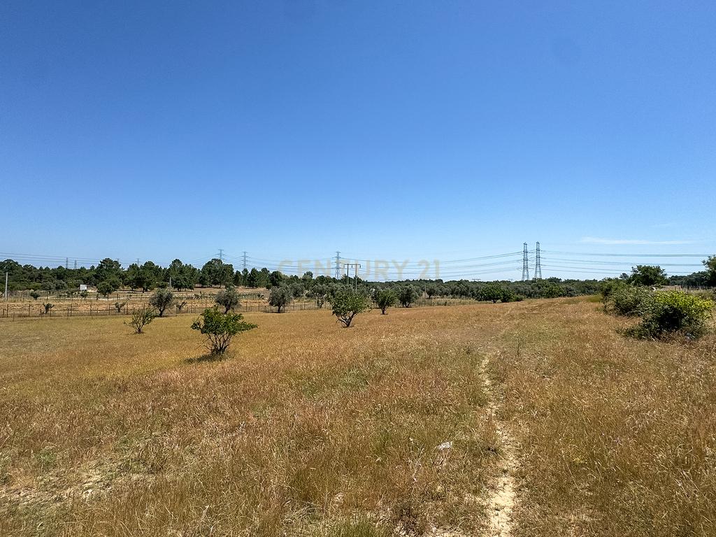 Terreno rústico agrícola, em Pessolhos, Setúbal - Image 30