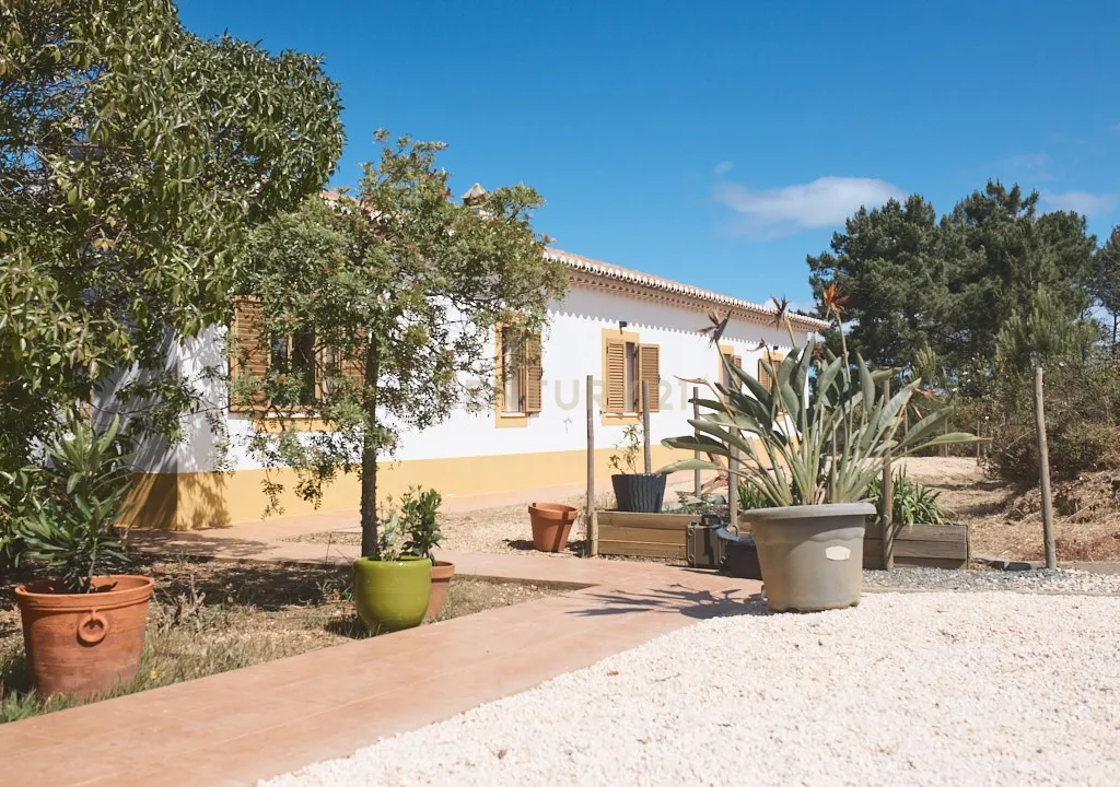 Acorde com vistas deslumbrantes sobre o oceano no seu rancho exclusivo de 8,4 hectares no Algarve, em Aljezur! Inclui uma casa principal ecoeficiente com certificação energética A, perto de praias de surf lendárias. Este é o seu refúgio costeiro definitivo — agarre esta oportunidade rara e agende hoje mesmo a sua visita! - Image 4