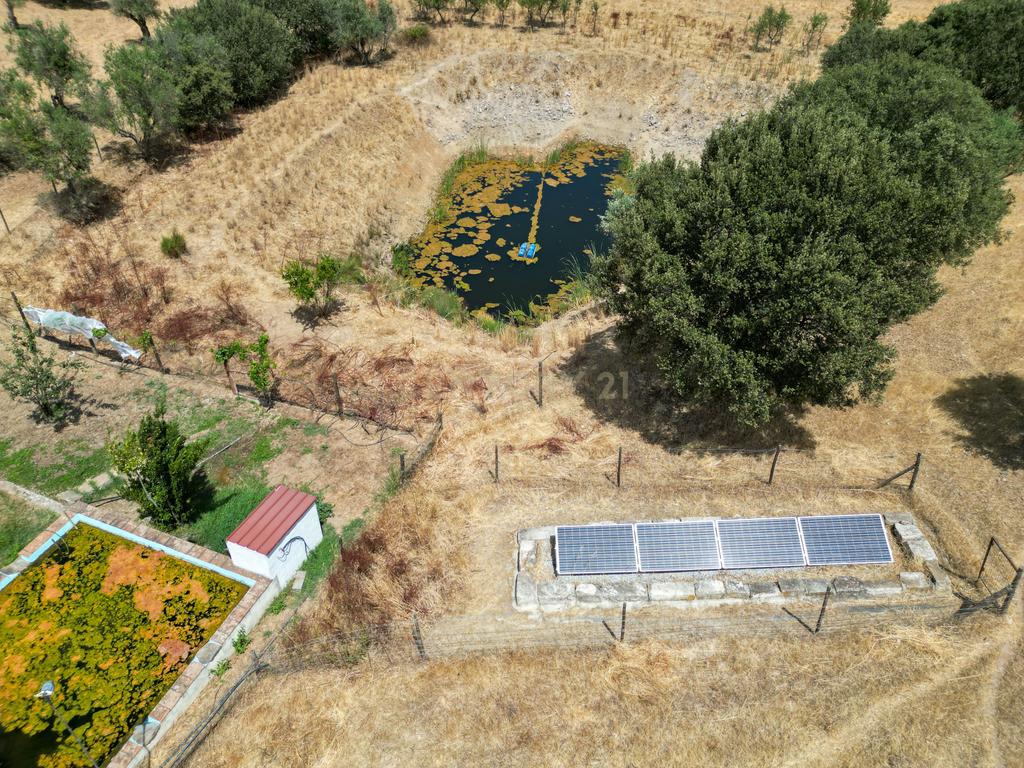 Herdade de 62 Hectares no Coração do Alentejo – Évora - Agricultura - Pecuária - Turismo Rural - Painéis Solares - Image 41
