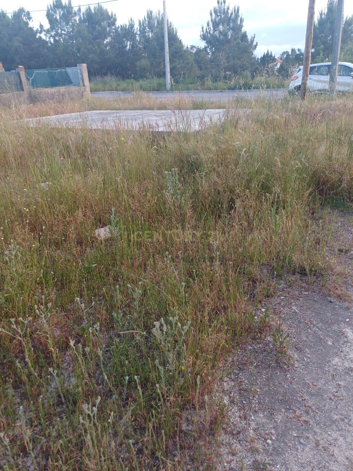 Terreno Urbano em Fernão Ferro - Image 6