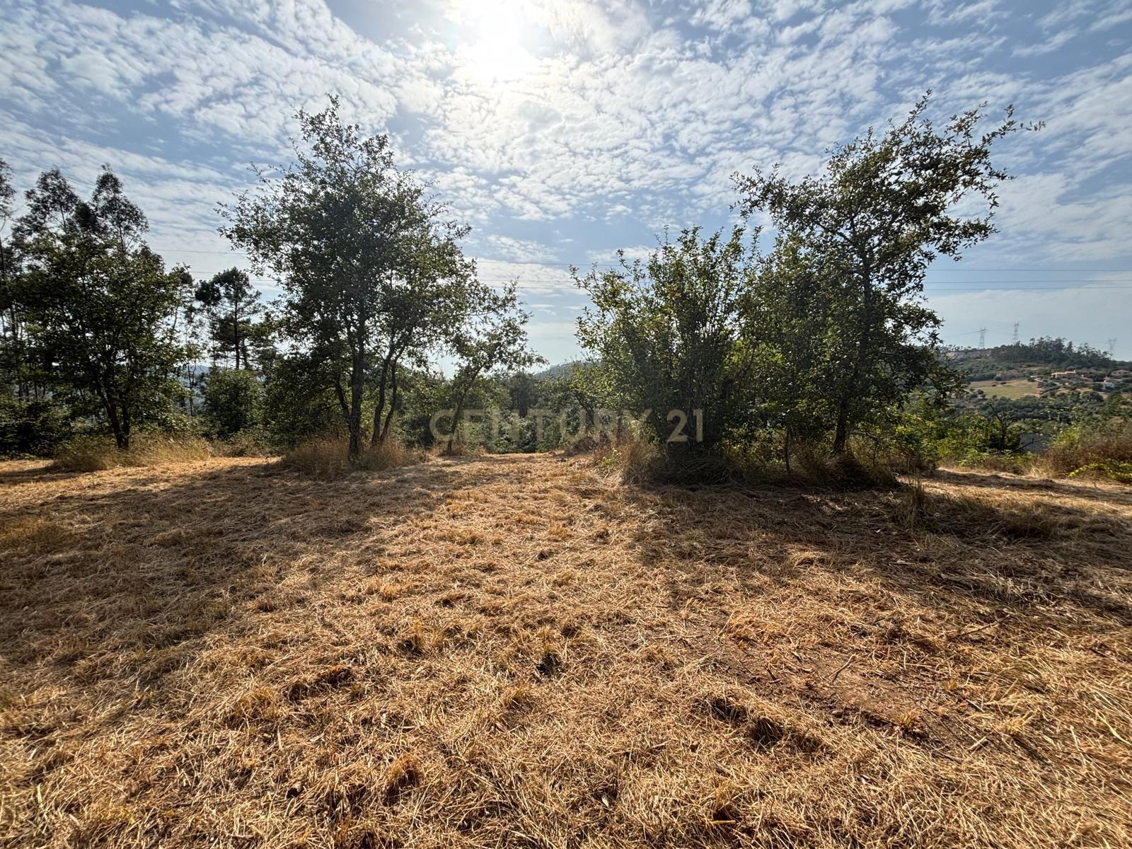 Fotografia 9 de Terreno com viabilidade construtiva em Santiago de Litém - Localização Central e Acessível