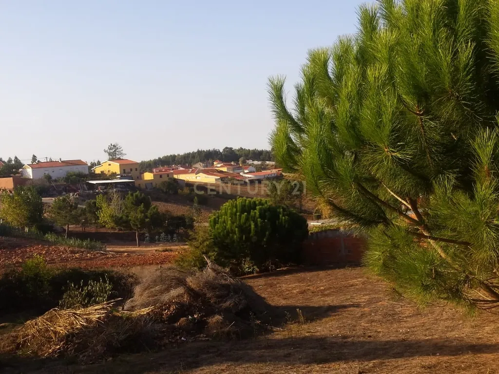 Terreno para construção c/ anexo - Lourinhã - Image 4