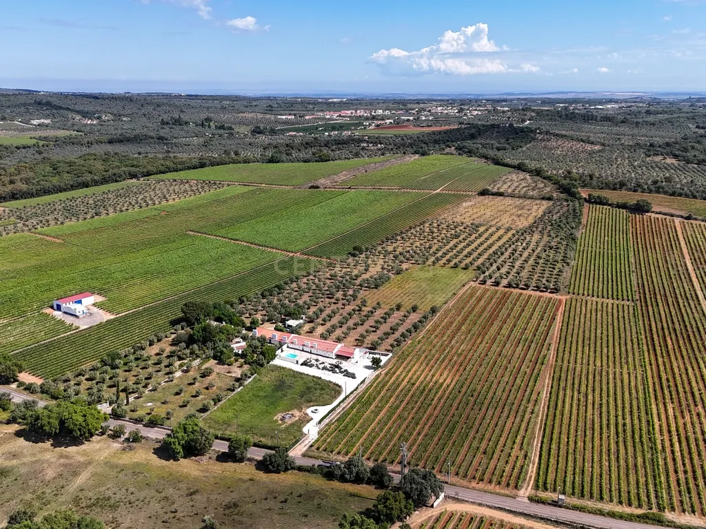 Quinta T3+3 com 4 HA em Borba – Natureza, Produção Agrícola e Conforto - Image 37