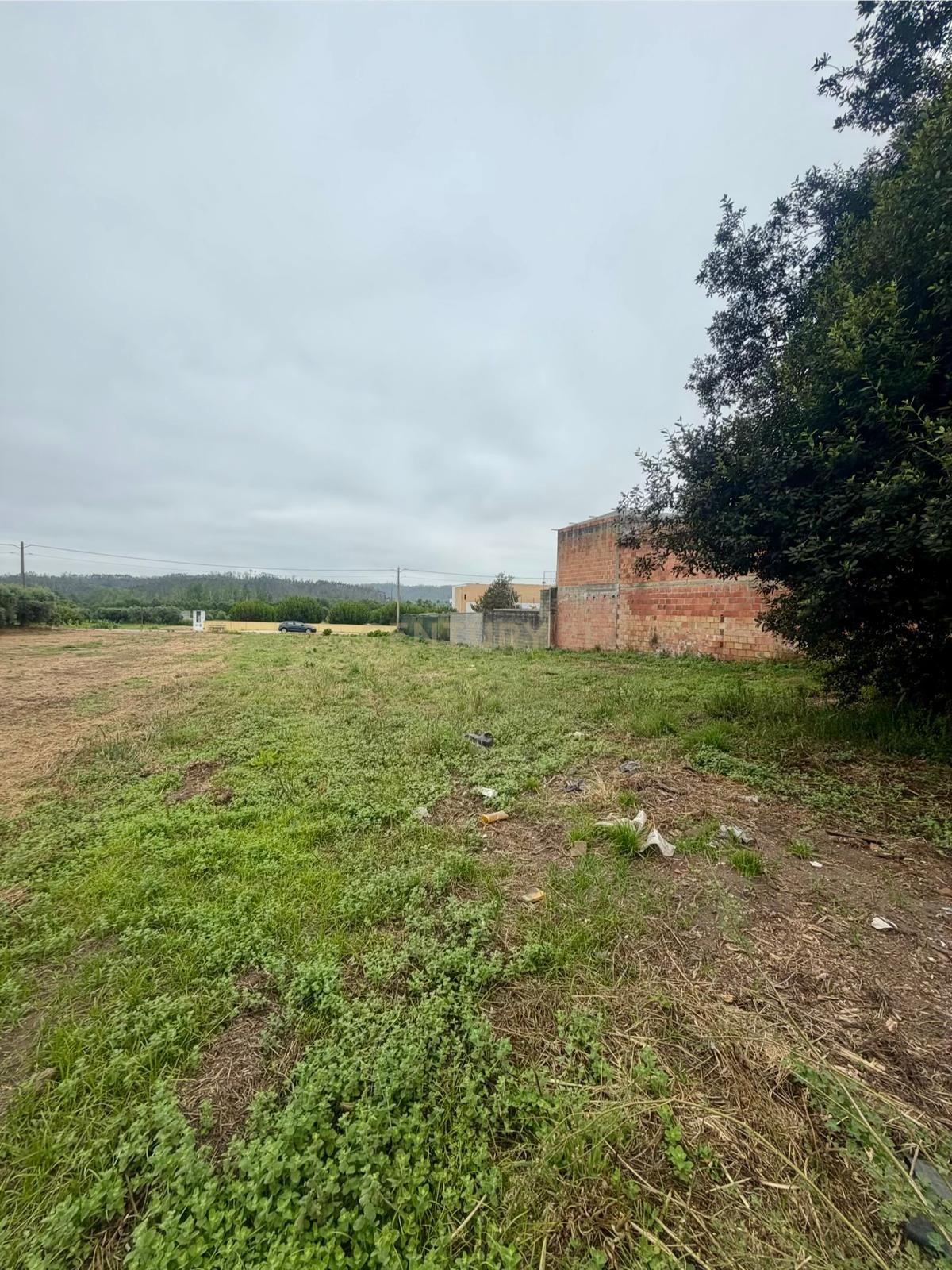 Fotografia 8 de Terreno à venda em Colmeias, Leiria - 990m²