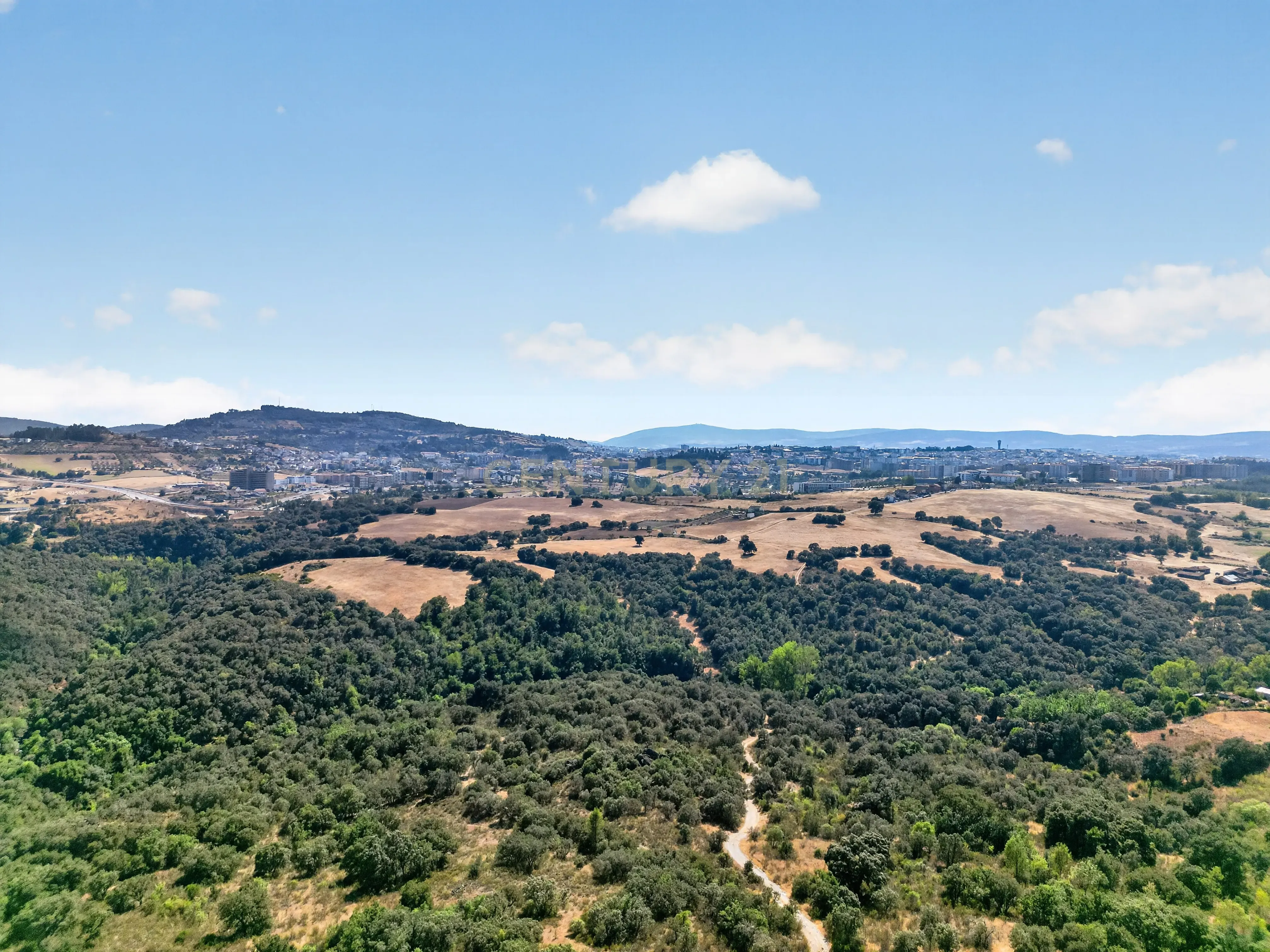 Fotografia 12 de Moradia com Vista Panorâmica em Bragança - Quinta da Candaira