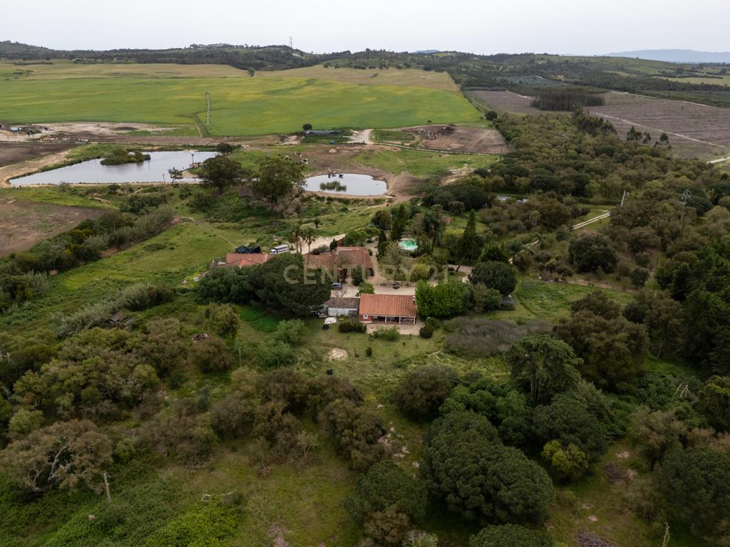 82 ha - Monte Alentejano na Zambujeira do Mar - Image 49